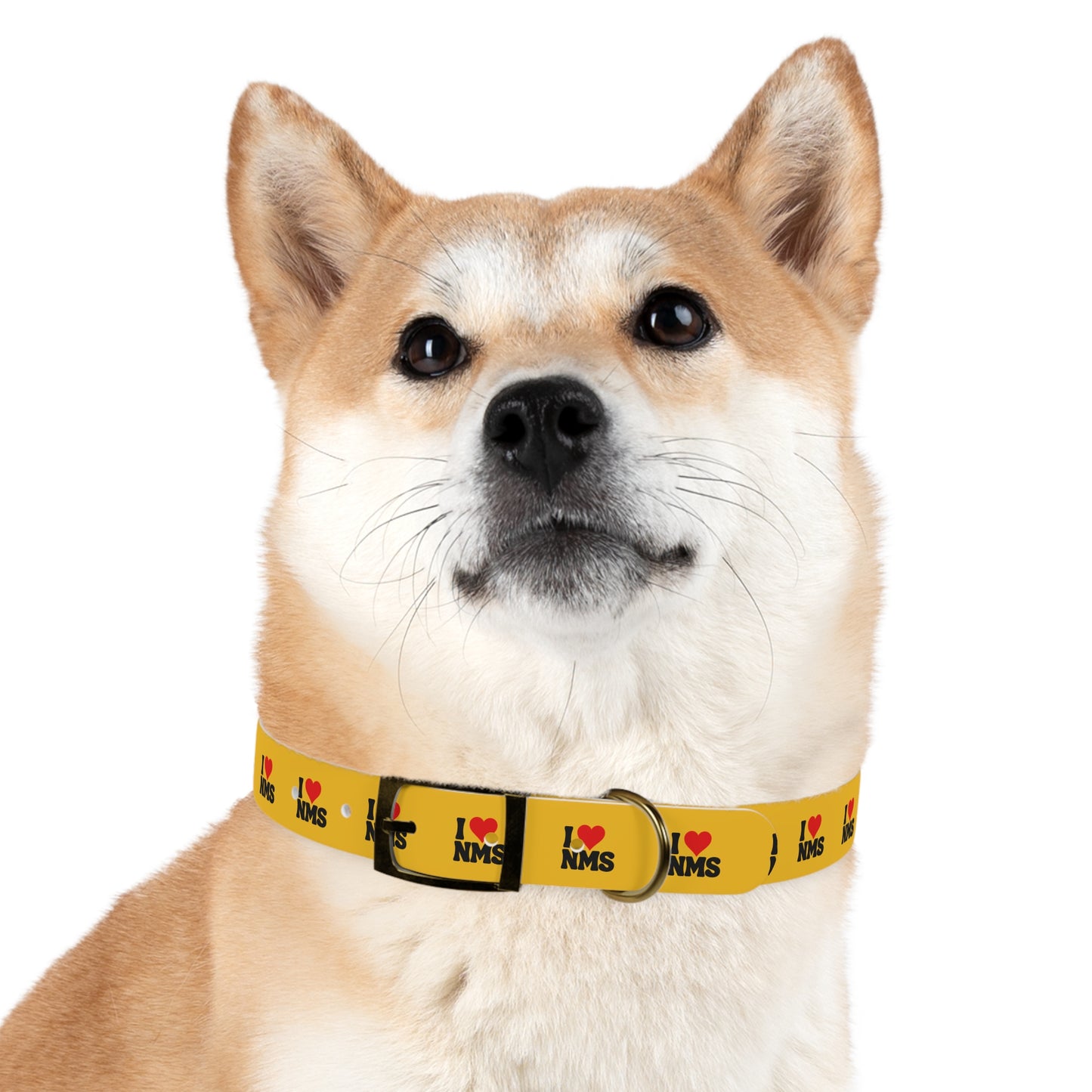 NMS I LOVE NMS Pet Collar YELLOW