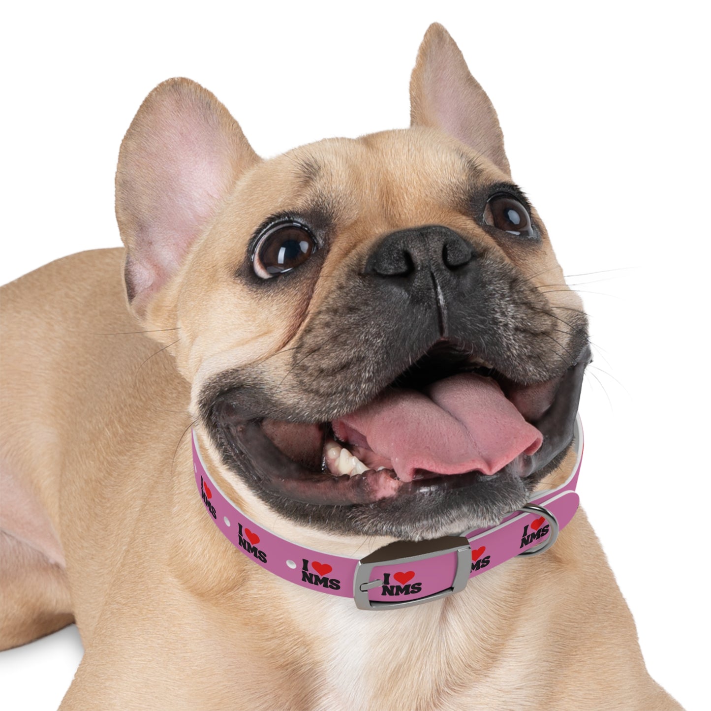 NMS I LOVE NMS Dog Collar PINK