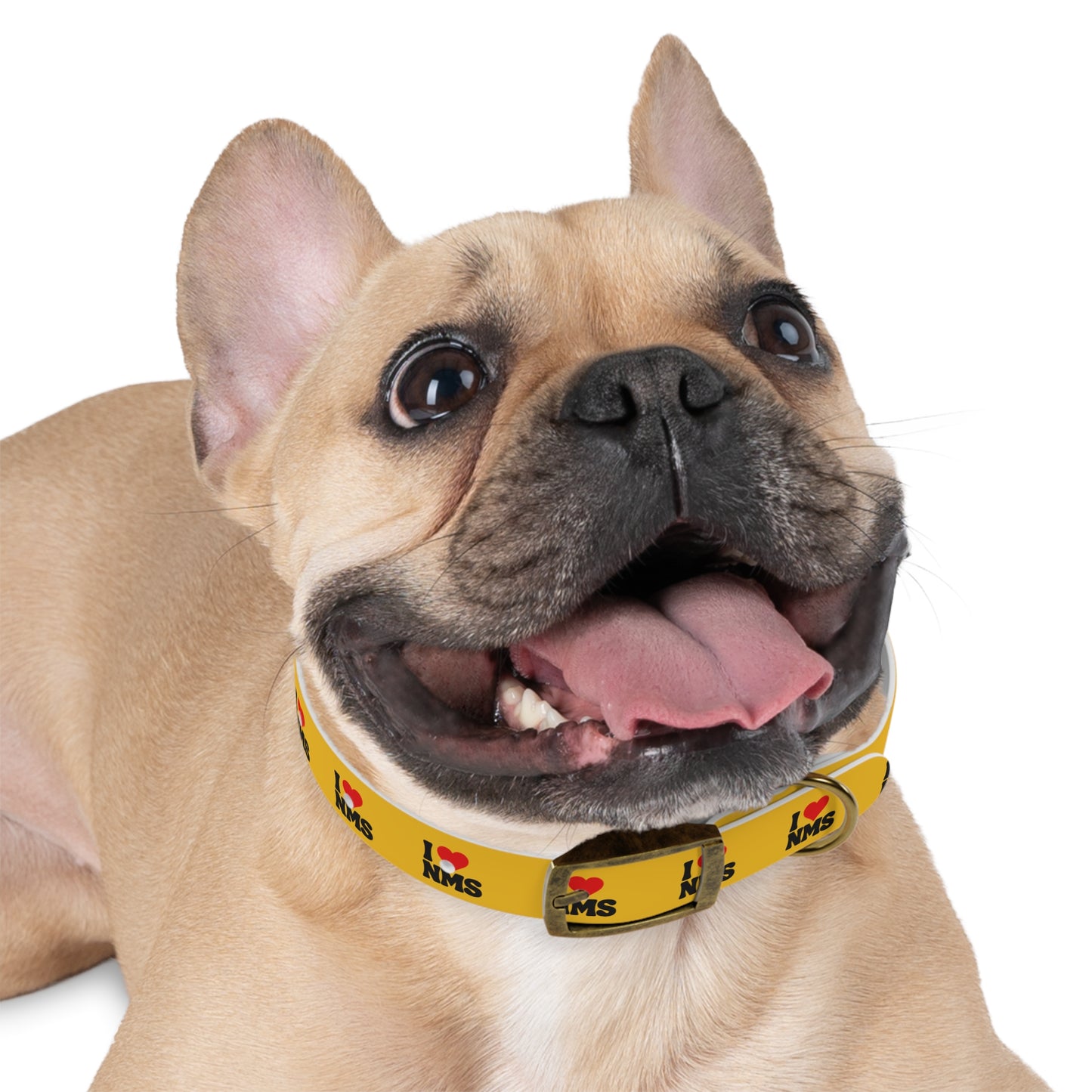 NMS I LOVE NMS Pet Collar YELLOW