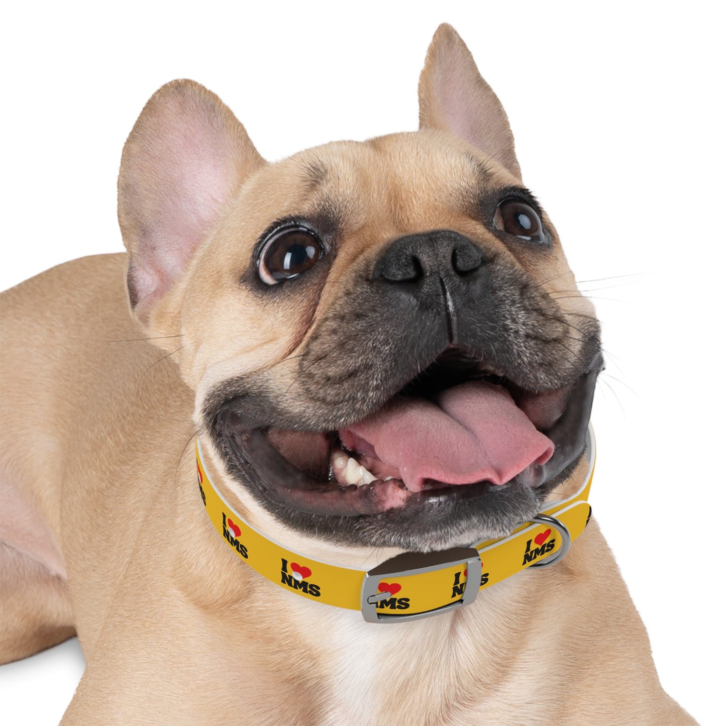 NMS I LOVE NMS Pet Collar YELLOW
