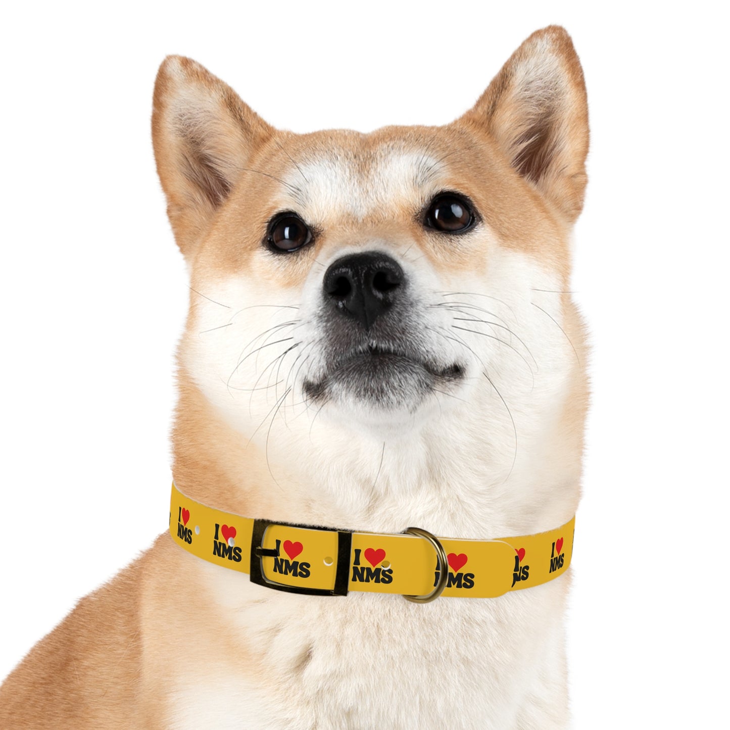 NMS I LOVE NMS Pet Collar YELLOW