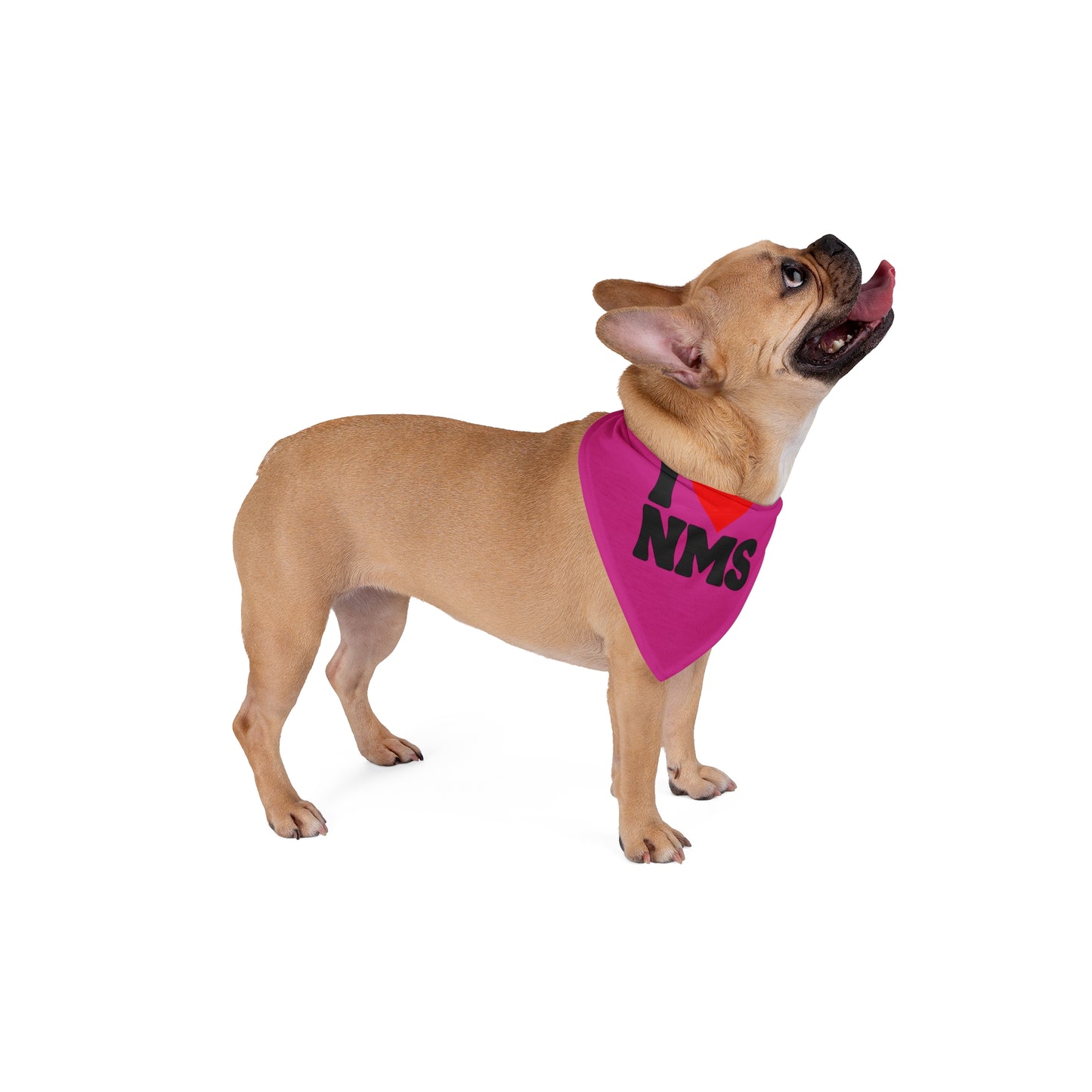 NMS I LOVE NMS Pet Bandana, Dog Adopt Me Bandana, Dog customizable bandana, Dog Collar Bandana, Adopt Me Bandana