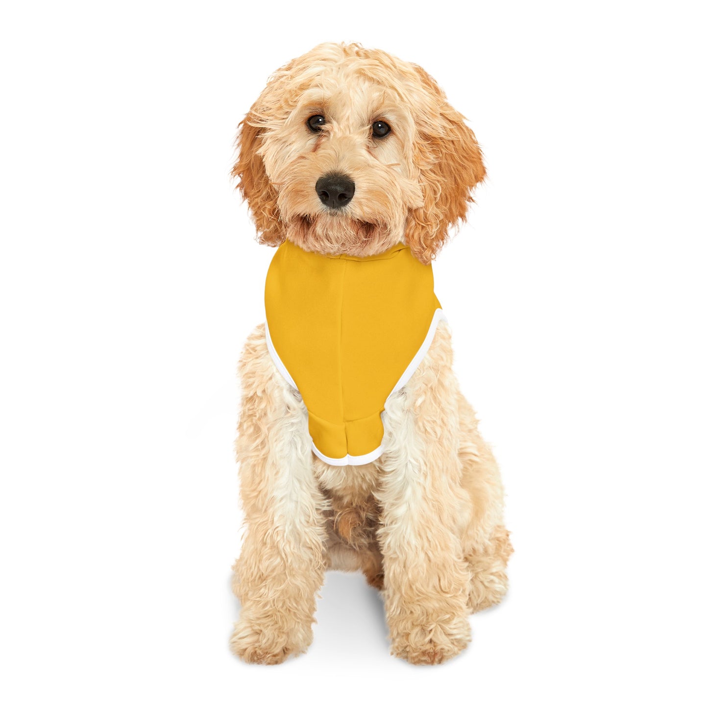 Adopt Me Pet Hoodie, Customizable Pet Hoodie, Dog Hoodie, Cat Hoodie, Gift for Dog, Winter Dog Hoodie, Dog Sweatshirt