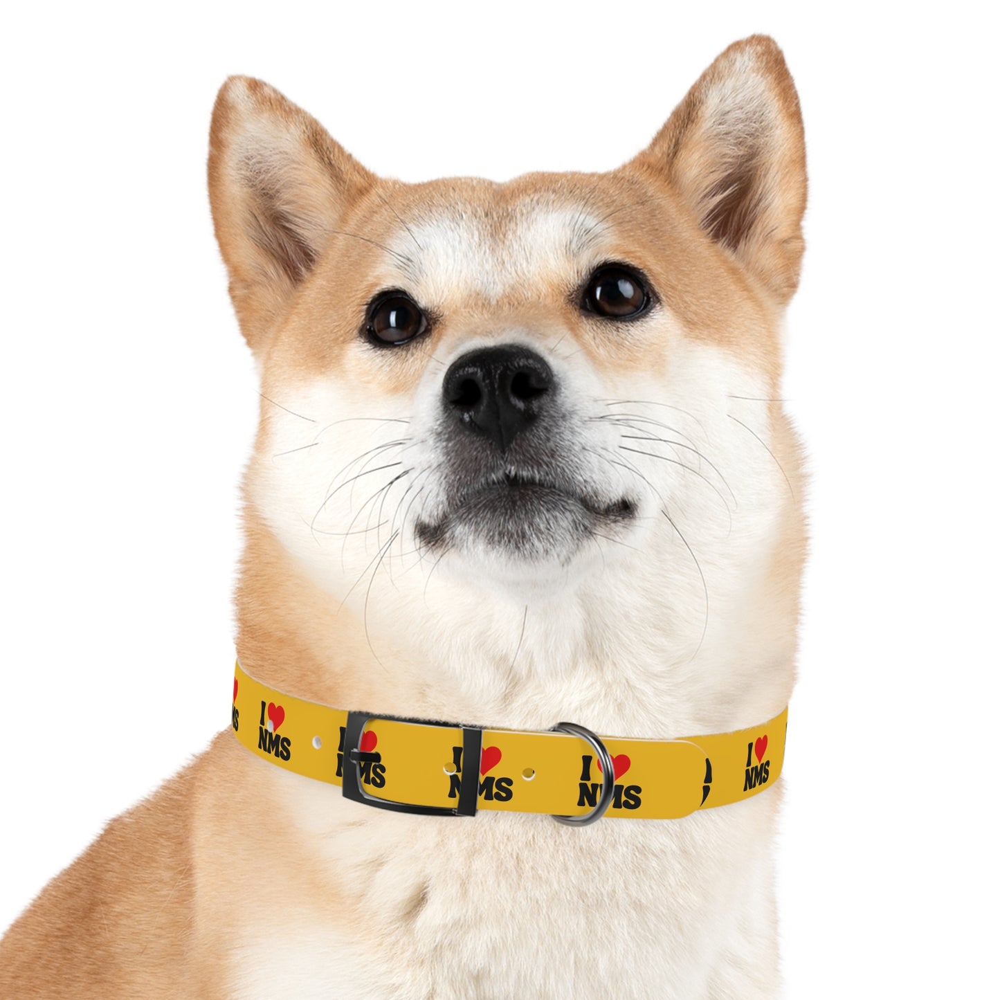 NMS I LOVE NMS Pet Collar YELLOW