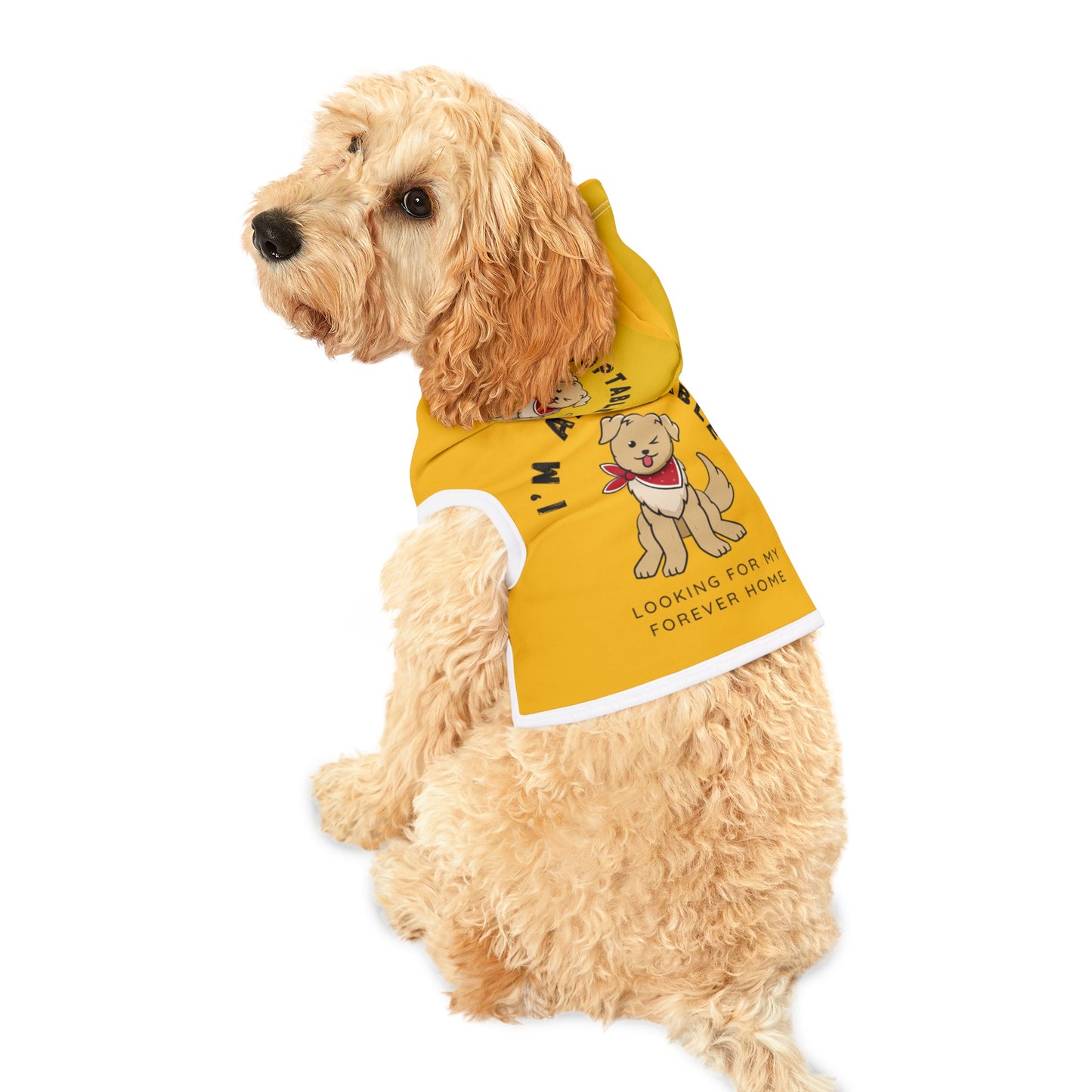 Adopt Me Pet Hoodie, Customizable Pet Hoodie, Dog Hoodie, Cat Hoodie, Gift for Dog, Winter Dog Hoodie, Dog Sweatshirt