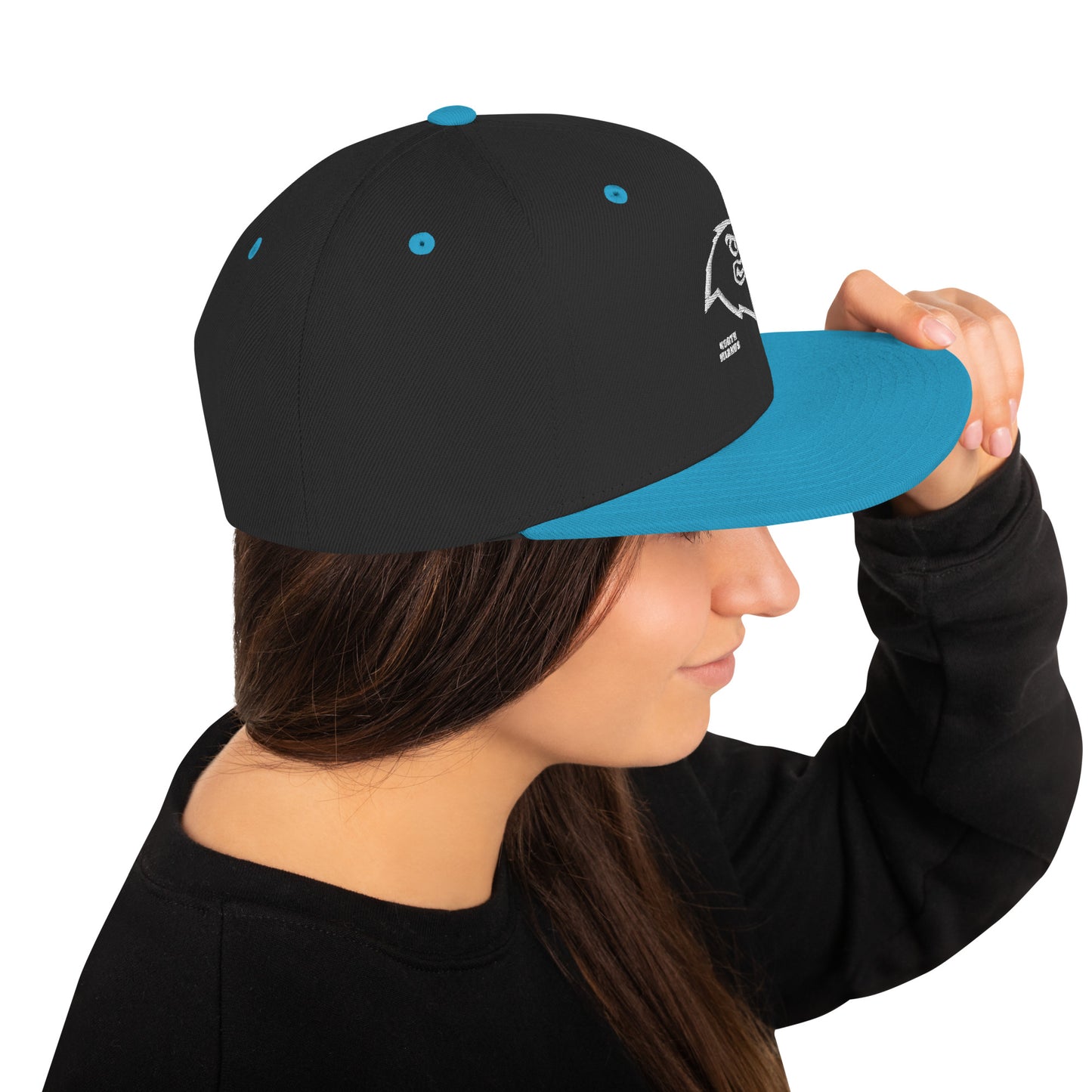 North Mianus Snapback Hat