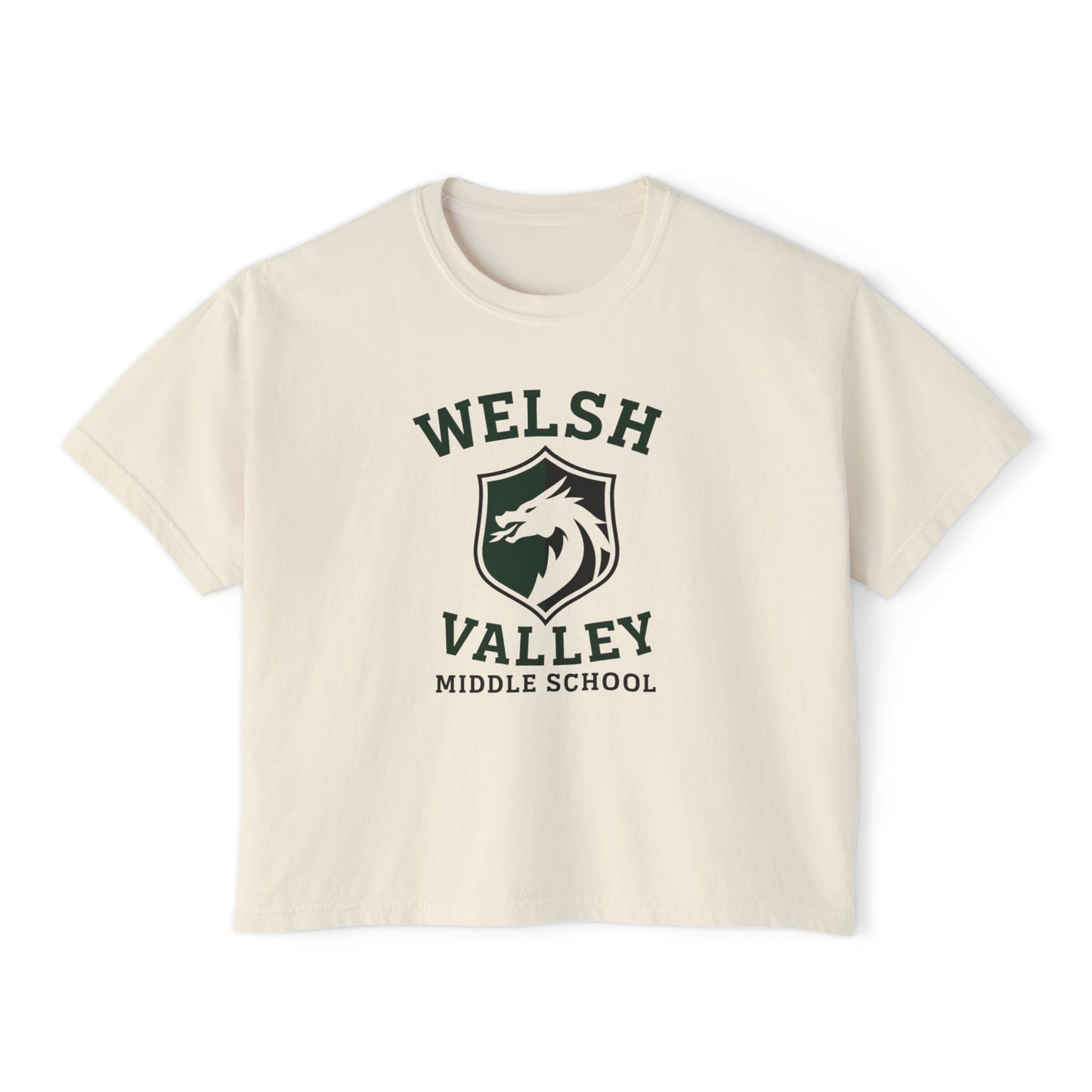 Welsh Valley ADULT Womens Boxy T-Shirt