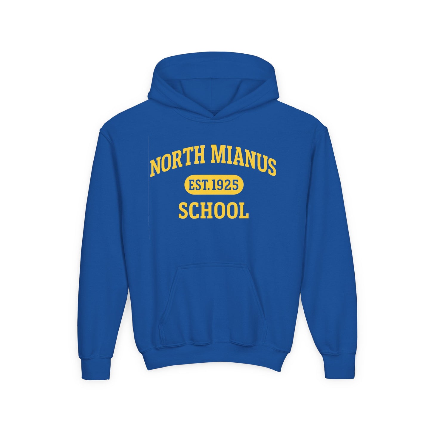 North Mianus School Youth Hoodie — Est. 1925 Retro Campus Sweatshirt