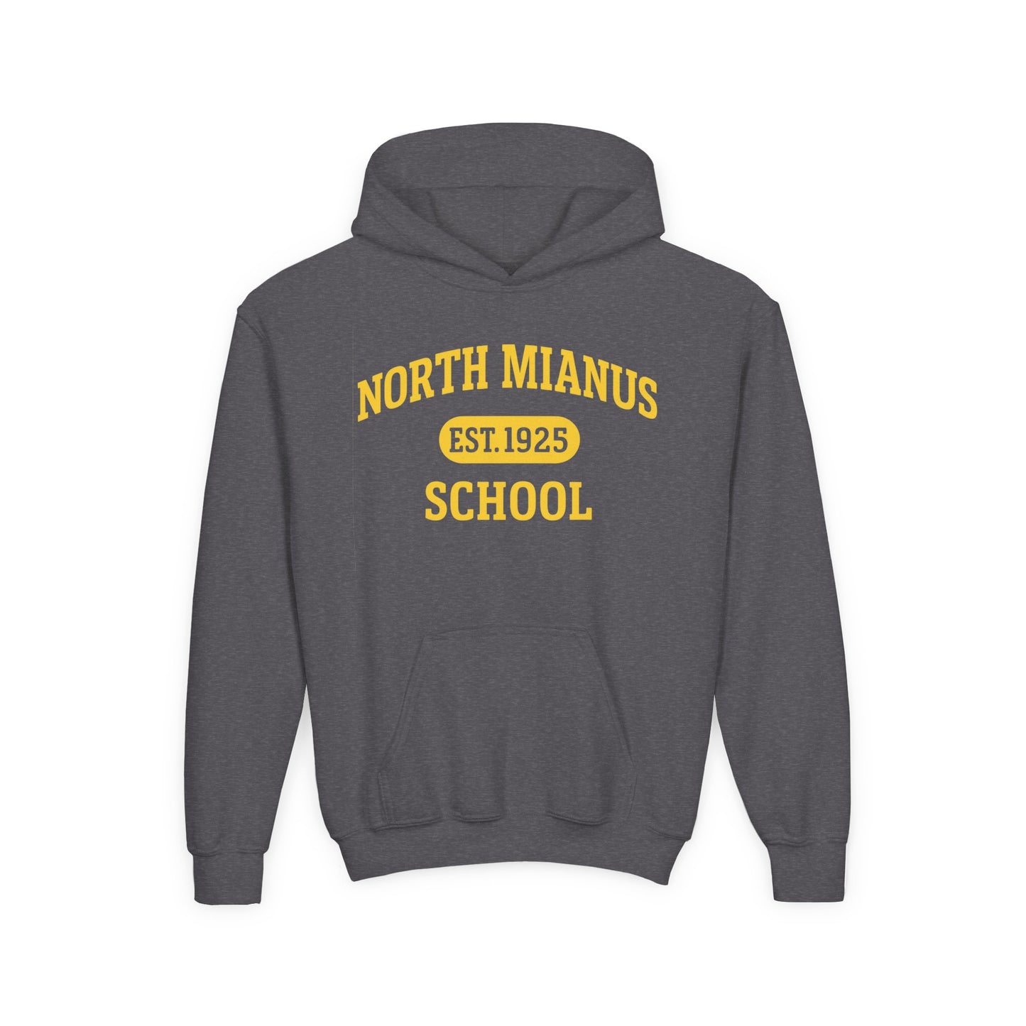 North Mianus School Youth Hoodie — Est. 1925 Retro Campus Sweatshirt