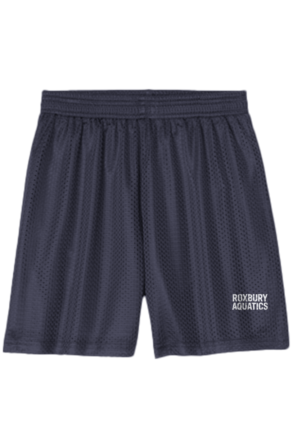 Roxbury Aquatics YOUTH Mesh Short