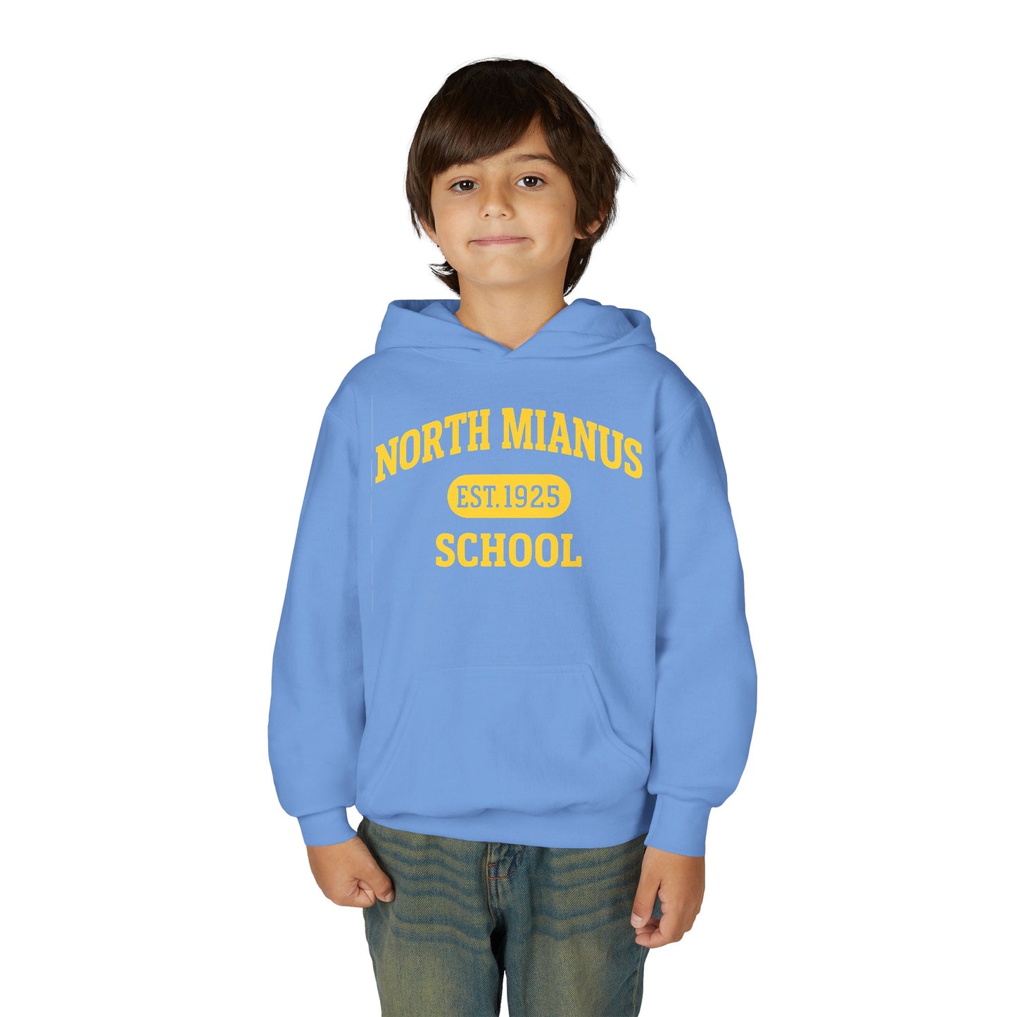 North Mianus School Youth Hoodie — Est. 1925 Retro Campus Sweatshirt