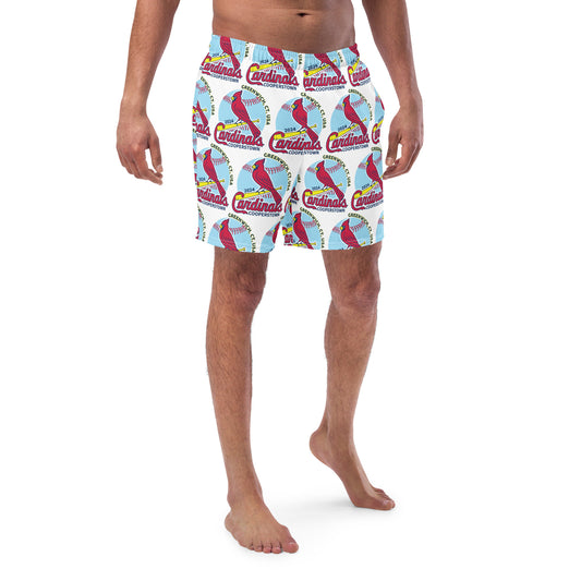Men's swim trunks 2XS to 2XL